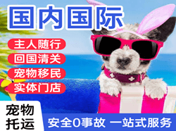 莫高机场快运国际宠物托运 【国